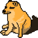 DogeOW